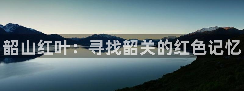 高德娱乐