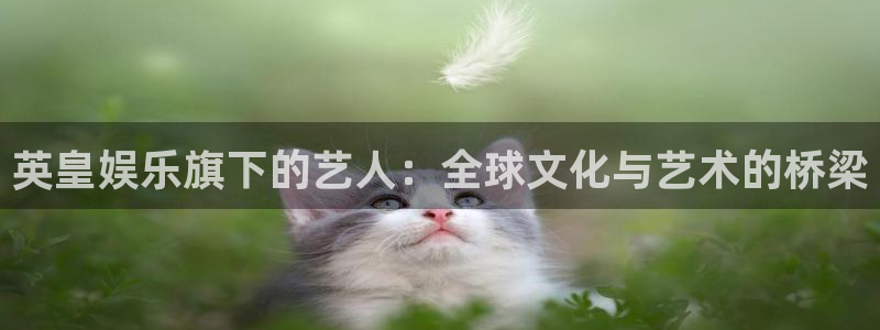 高德娱乐