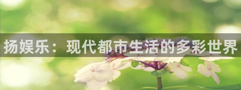 高德娱乐