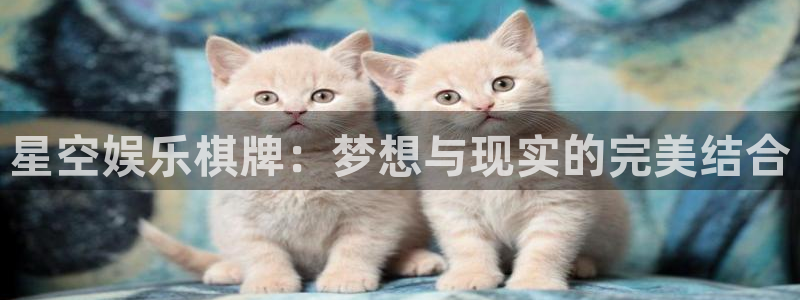 高德娱乐