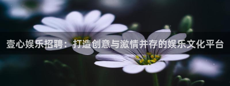 高德娱乐