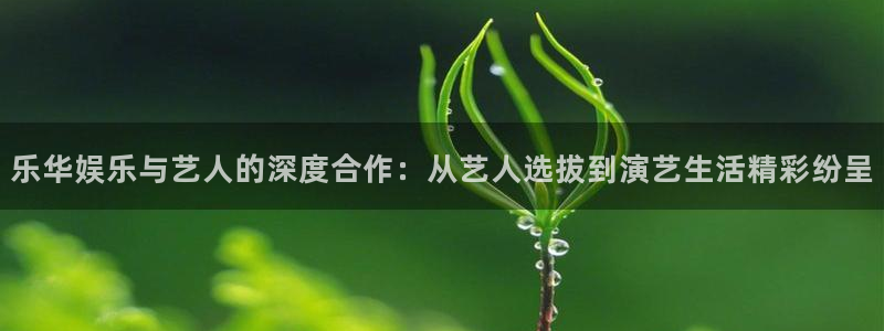 高德娱乐